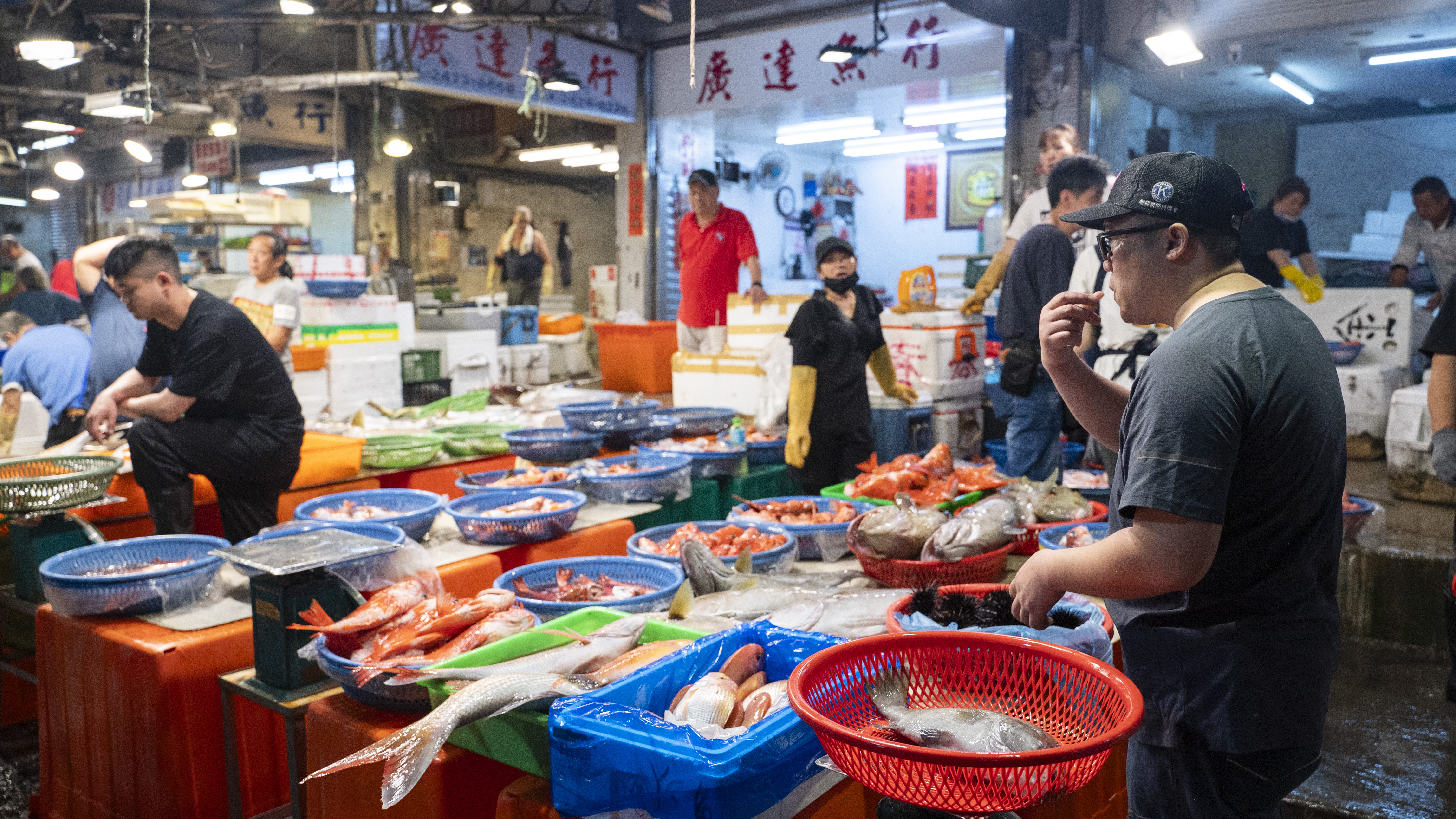 The program will also be available for streaming online.